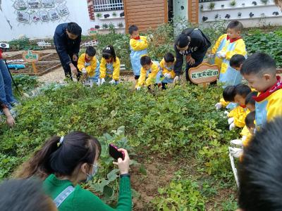 落花生  应城教育实践活动从娃娃抓起