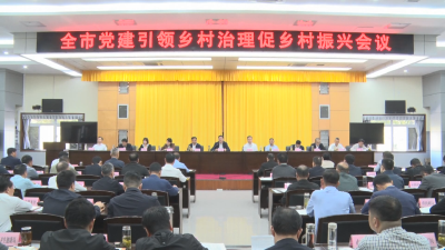 全市党建引领乡村治理促乡村振兴会议强调：坚持目标导向 问题导向 过程导向 效果导向 高标准高质量通过巩固拓展脱贫攻坚成果同乡村振兴有效衔接专项检查