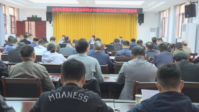 【蒲城快讯】：全市巩固脱贫攻坚成果同乡村振兴有效街接工作推进会召开