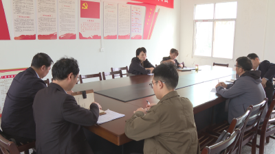 市领导到天鹅镇调研巩固脱贫攻坚成果同乡村振兴有效衔接、秋冬播生产、“小田并大田”等工作