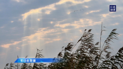 应城：老观湖国家湿地公园初冬景色美如画