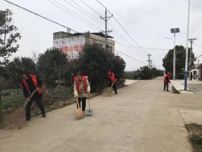 应城杨岭镇花园村组织开展清洁大扫除活动
