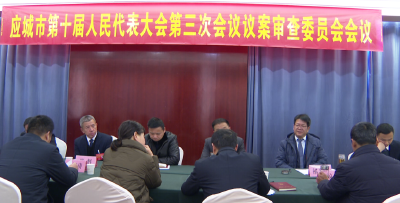 市十届人大会三次会议议案审查委员会举行第二次会议