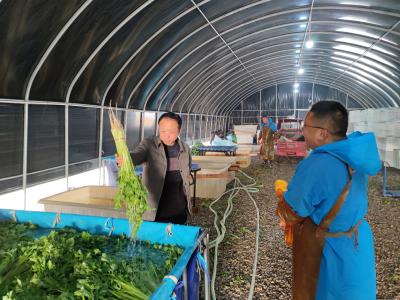 应城开展节前农产品质量安全监督检查