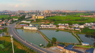 应城：创建清廉村居 绘就美丽乡村