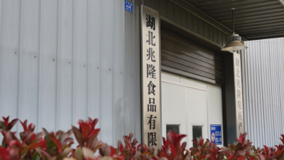《全面推进乡村振兴》栏目： 3A级“法式鹅肝”从应城乡村走出 受到市场欢迎