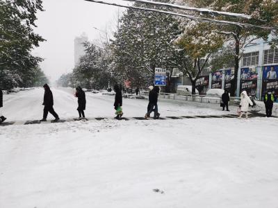 应城市重点项目服务中心组织党员干部除雪清障保畅通
