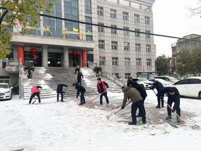 应城市农业农村局：铲雪除冰 力保畅通