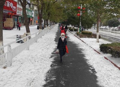 应城市重点项目服务中心志愿服务队扫雪除冰护平安