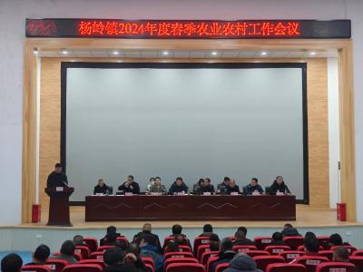 应城市杨岭镇召开2024年度春季农业农村工作会议