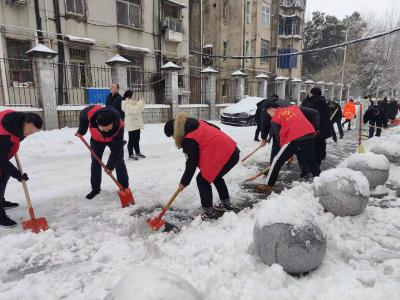 扫雪除冰 暖心护行 应城退役军人在行动