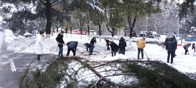 应城市自然资源和规划局积极开展“扫雪除冰”活动