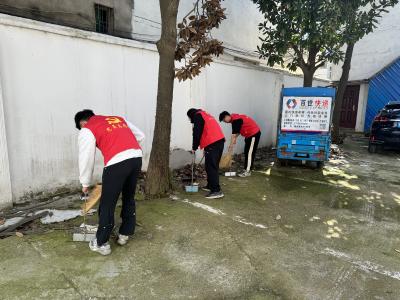 应城市杨河镇开展环境整治卫生大扫除活动