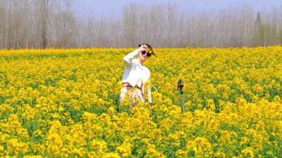 大美应城之又见魏河油菜花开