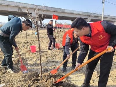 陈河镇掀起全民义务植树活动热潮