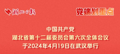 党端划重点丨中共湖北省委十二届六次全体会议精神解读（手账版）