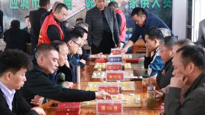 “迎省运”应城市第二届“韩湾杯”中国象棋大赛成功举办