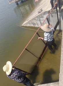 汛前隐患大排查 筑牢安全防线