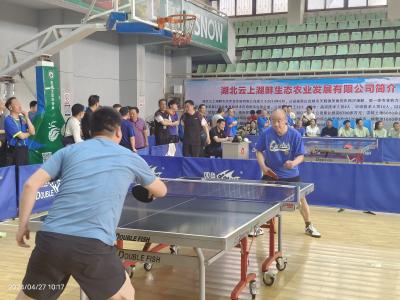 应城自然资源和规划局员工全市乒乓球赛创佳绩展风采