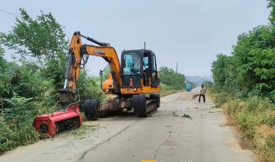 初夏锄草忙    应城四里棚光辉村给道路“美颜”