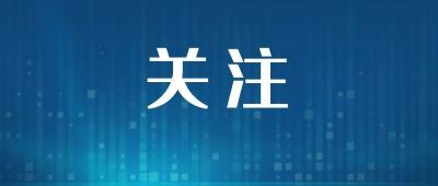 九届应城市委第七轮巡察工作正式启动