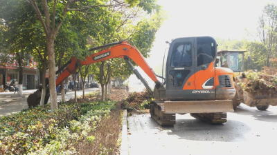 《“城市创建” 共建美好家园》栏目：我市提升绿化质量 为城市增添颜值