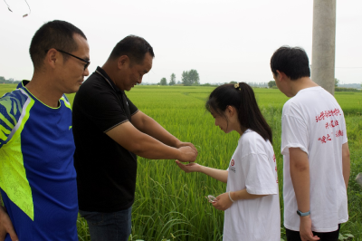 应城：农业种植调研收获丰  农业薪火代代传