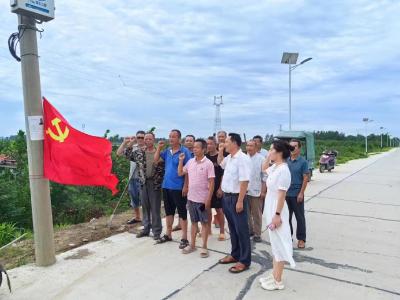 应城市南垸良种场：把支部主题党日开在堤坝上