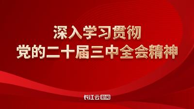 深入学习贯彻党的二十届三中全会精神