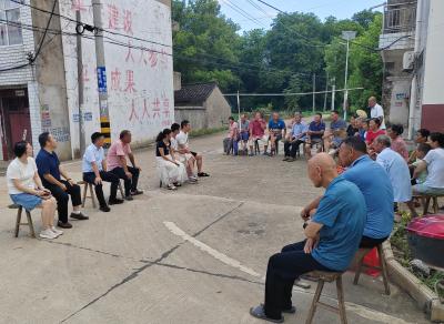 应城市天鹅镇召开屋场院子会   齐“话”共同缔造