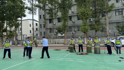 以练备战   应城市天鹅镇开展应急处突专项演练