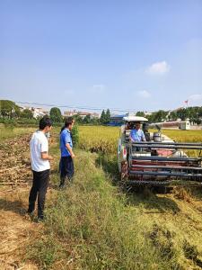 应城市天鹅镇加强秸秆焚烧源头管控  推进低茬收割