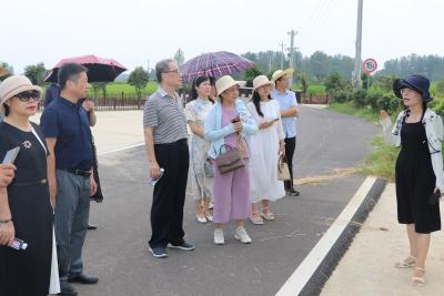 “小田并大田·赋能新应城”文学采风走进应城杨河镇