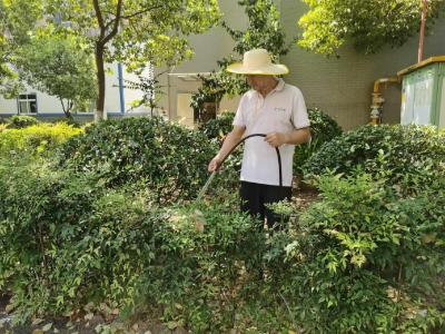 高温下的坚守  用汗水浇灌绿荫