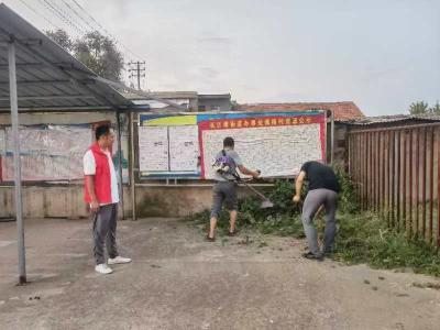 应城市长江埠街道龚杨村开展清除杂草环境整治活动