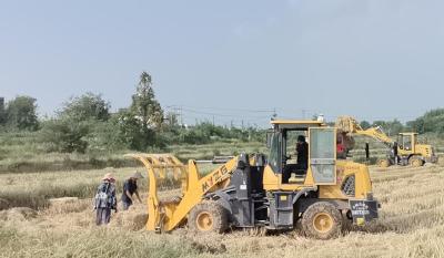 应城市东马坊街道：秸秆回收再利用  变废为宝促增收