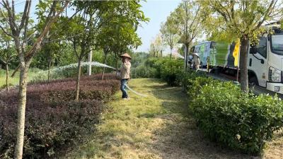 应城市杨岭镇：浇水护绿 为植被解渴