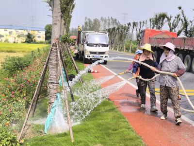 炎炎夏日 应城市杨河镇环卫洒水车为大地“解渴降温”