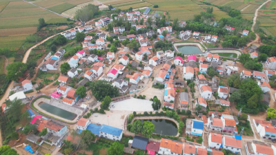 《共同缔造进行时》城北街道魏河村：携手建设和美乡村 共同缔造宜居魏河