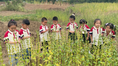 小芝麻   大发现    应城市幼教课堂进田园