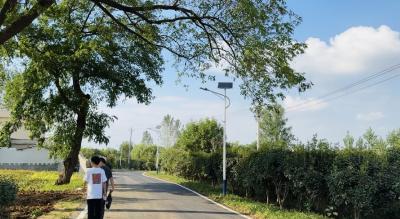 应城城北街道魏河村：花海糯香欢歌至 和美风光宾客来