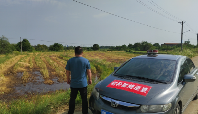 应城市东马坊街道持续加大秸秆禁烧宣传力度