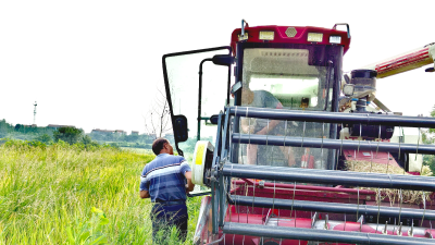 应城市义和镇双管齐下确保秸秆禁烧落地落实