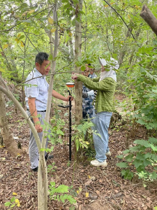 应城：蓄积量监测启动，为森林生态保驾护航