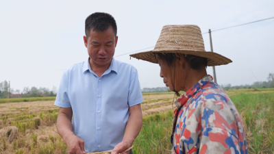 《全面推进乡村振兴》新农人当“头雁” 绘就应来之城好“丰”景