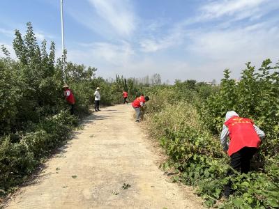 应城市义和镇：聚力共同缔造 共享美好环境