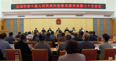 应城市十届人大常委会召开第二十次会议