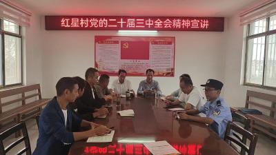 应城市陈河镇：党的二十届三中全会精神宣讲到基层