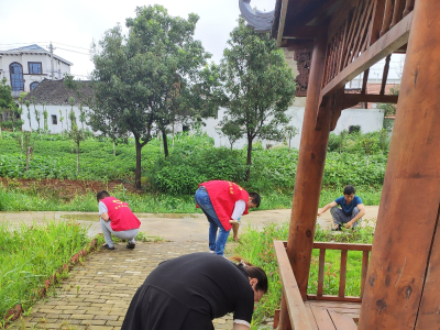 应城市陈河镇：清洁家园行动，共绘乡村新貌