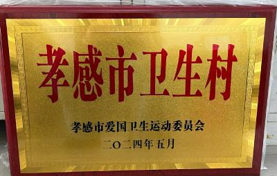 应城市黄滩镇两村荣获“孝感市卫生村”称号